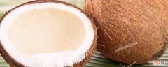 椰子品种 椰子品种有哪些