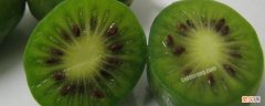 软枣猕猴桃几月份成熟 软枣猕猴桃几月份成熟上市