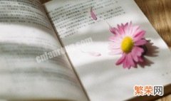 盛世梨花殿百度百科 《盛世梨花殿》小说名字叫什么