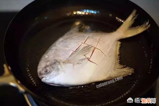 两斤多的鲳鱼怎么煎？