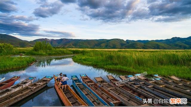 第一次一个人旅游,性别女 旅游小白跪求一条云南旅游最全攻略时间消费什么的可以忽略舒服就行？