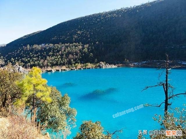 第一次一个人旅游,性别女 旅游小白跪求一条云南旅游最全攻略时间消费什么的可以忽略舒服就行？