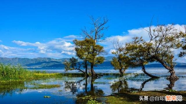 第一次一个人旅游,性别女 旅游小白跪求一条云南旅游最全攻略时间消费什么的可以忽略舒服就行？