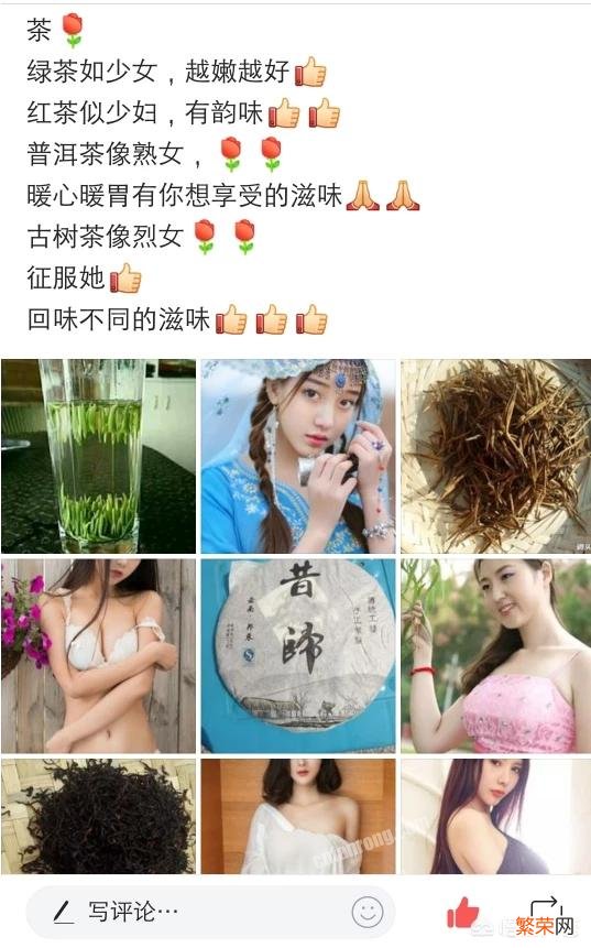 绿茶分别指的是什么茶？