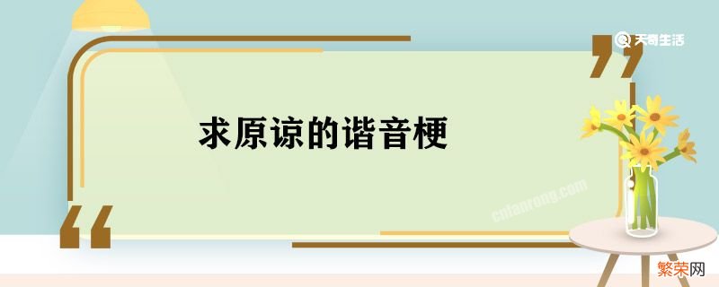 求原谅的谐音梗 求原谅谐音梗句子