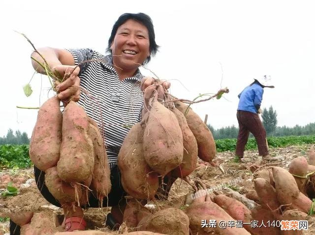 如果我想弄种植业或者养殖业,什么比较有前景？