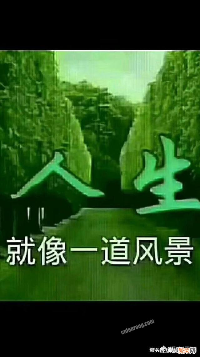 人啊,是不是只有在最低谷的时候,才能看清一切的情感,包括亲情,友情,爱情？