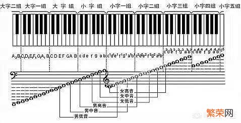 小孩到底学什么乐器？钢琴or小提琴？