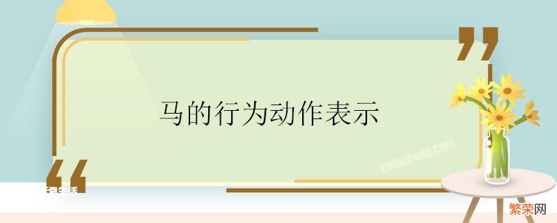 马的行为动作表示 马的行为动作表示什么