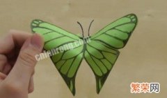 制作纸蝴蝶的方法 制作纸蝴蝶的方法视频