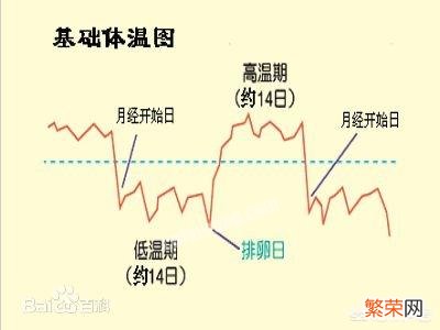 什么时候最容易怀上宝宝？该如何备孕？