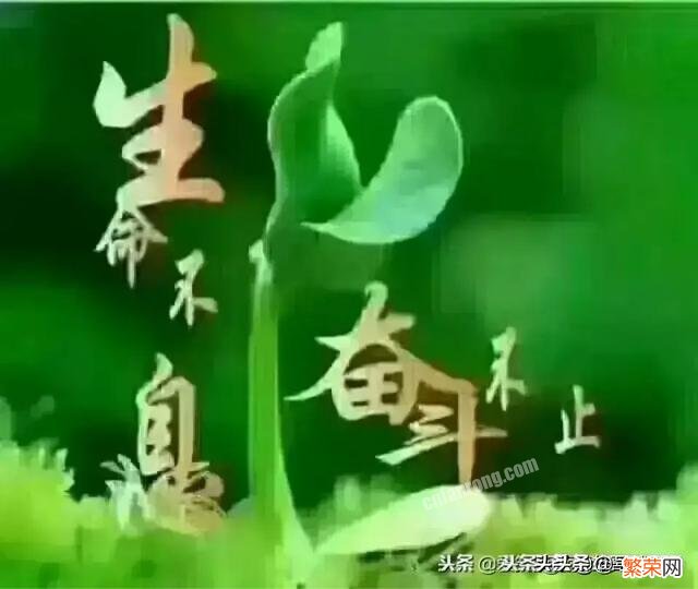 \&#8221;想要的生活只能靠自己努力获得,任何人给不了\&#8221;,是这样吗？