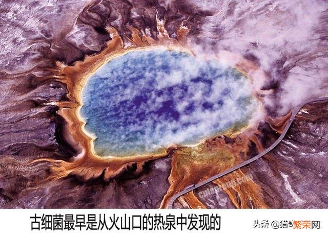 地球上一任霸主是恐龙,那第一任霸主是谁？