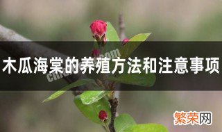 木瓜海棠的正确养殖方法视频 木瓜海棠的正确养殖方法