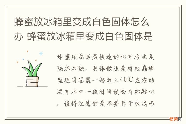 蜂蜜放冰箱里变成白色固体怎么办 蜂蜜放冰箱里变成白色固体是真蜂蜜吗