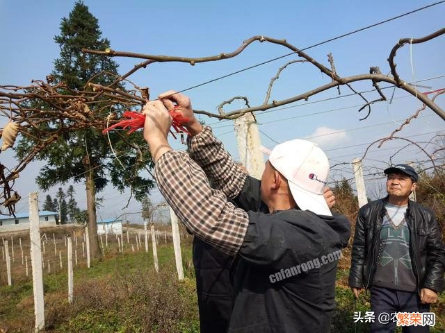 在你们农村,你身边有哪些创业成功的,他们是做什么的？