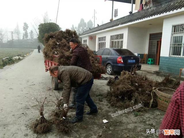 在你们农村,你身边有哪些创业成功的,他们是做什么的？