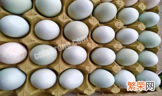 人工鸡蛋孵化技巧 人工鸡蛋孵化技巧视频