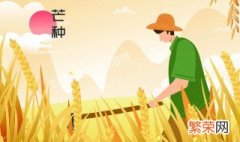 立夏种水稻 过了立夏还能种稻谷吗