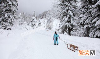 平行板滑雪教程 平行板滑雪教程图片