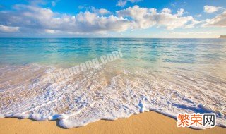 干潮赶海还是满潮赶海 满潮赶海还是干潮赶海