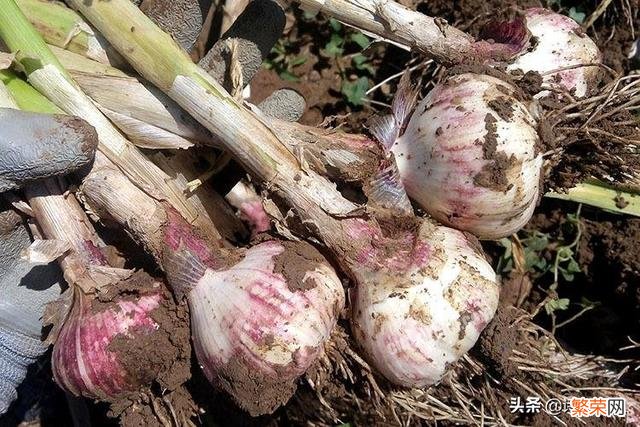 三千年没改名字的成语之乡有哪些?