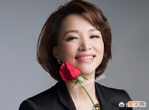 央视才女中,你最喜欢谁?