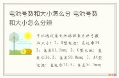 电池号数和大小怎么分 电池号数和大小怎么分辨