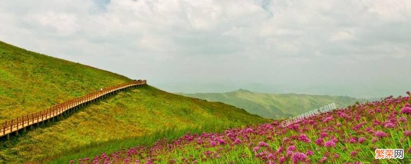 毕节韭菜坪海拔 韭菜坪海拔