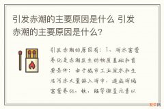 引发赤潮的主要原因是什么 引发赤潮的主要原因是什么?