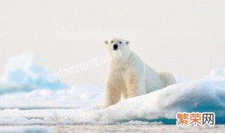 多地暴雪蓝色预警 多地暴雪蓝色预警是什么意思