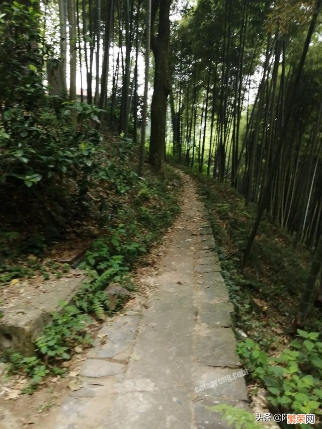 好想背起行囊去一个陌生的地方旅行,离开世俗圈,您有同感吗？