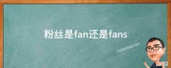 粉丝是fan还是fans fans是粉丝吗