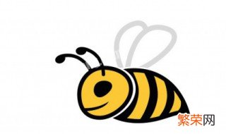 蜜蜂喂什么能加快繁殖 蜜蜂喂什么繁殖最快