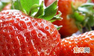 最好的草莓品种 草莓品种大揭秘