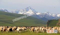 天山在哪里 天山在什么地方