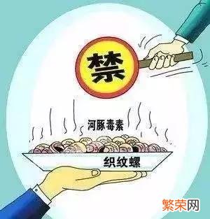 海螺能不能吃？