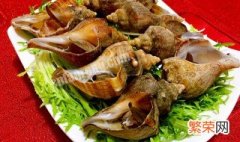 冻海螺能吃吗怎么吃 冻海螺能吃吗
