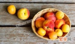 油桃和李子有什么区别 油桃和李子的区别是什么
