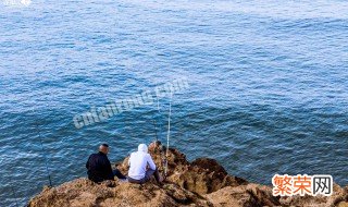 螺鲤2号野钓怎么开饵 螺鲤2号野钓怎么开饵视频