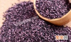 紫米是粗粮吗 关于紫米的介绍
