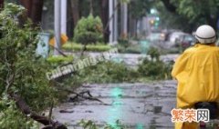 台风应急响应分为几个等级 台风应急响应等级简单介绍