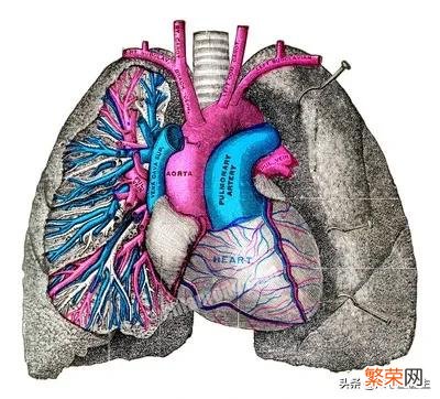 害怕自己得癌症,做什么体检项目比较好？