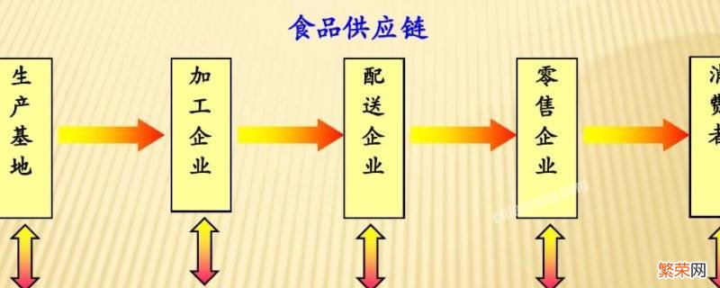 食物供应链上的环节有哪些 食物供应链上的环节