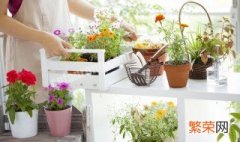 家里养什么花可以增加湿度 家庭养花怎样提高环境湿度