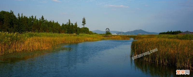 每公顷湿地可以吸收多少二氧化碳气体 每公顷湿地可以吸收多少二氧化碳