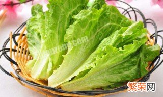 生菜是什么菜 罗马生菜是什么菜