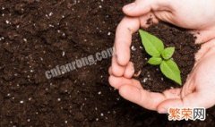 酸性土壤改良方法用什么肥 酸性土壤改良方法需要加碱性肥是吗