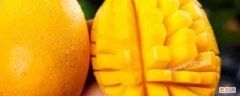 圆形的芒果是什么芒果 圆形芒果是什么芒果