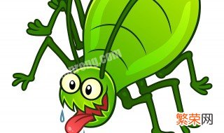 养什么虫子繁殖最快 蚜虫一种繁殖最快的昆虫